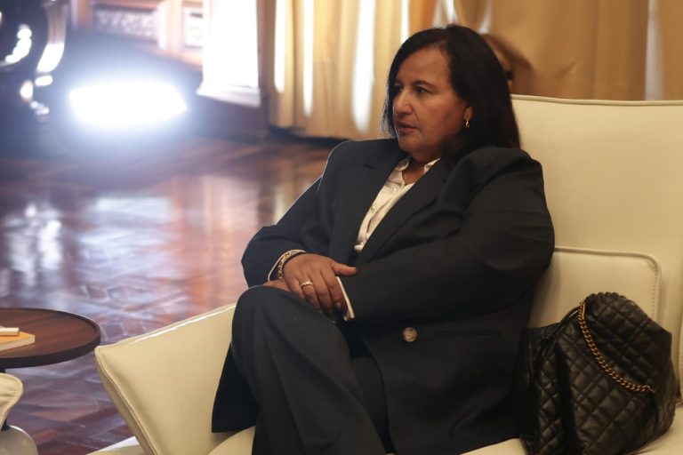 Dinorah Figuera anuncia que desde agosto impulsarán un nuevo CNE y reformas electorales