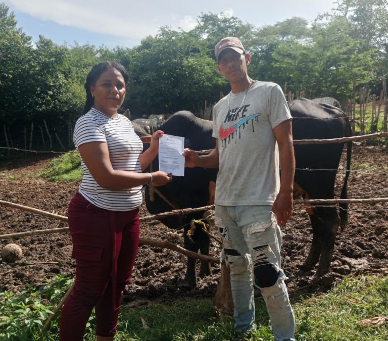 Yare fortalece su producción ganadera
