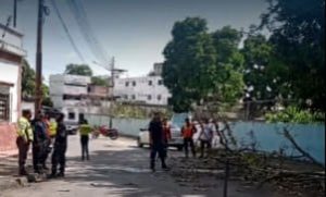 A medias quedó la poda de árboles en la U.E. Ezequiel Zamora de Santa Teresa: Accesos bloqueados por desechos vegetales