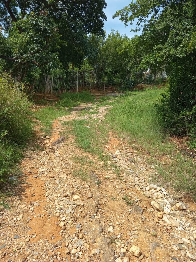Colapso vial y oscuridad total en El Rosario de Soapire ponen en riesgo a familias vulnerables