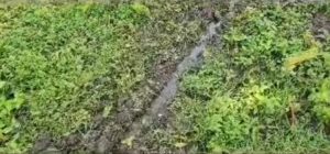 Fuga de agua en el sector Tovar pone en riesgo viviendas y sistemas eléctricos