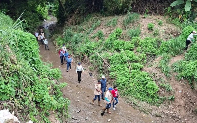 Reforestan la cuenca de quebrada Seca en Santa Lucía del Tuy
