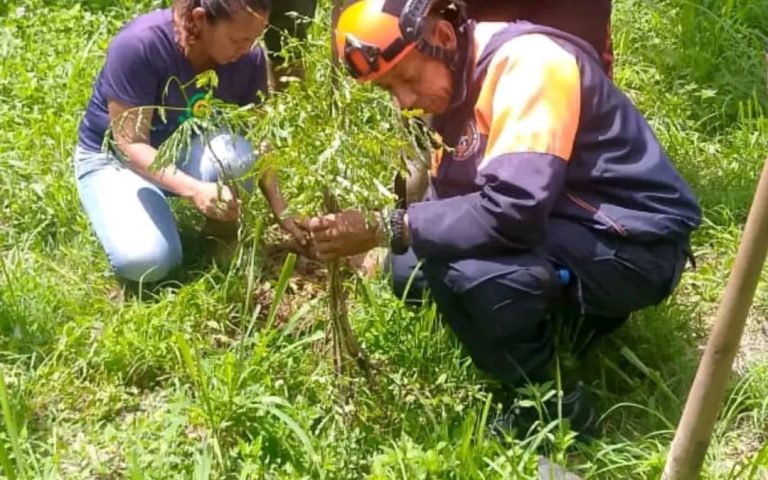 Sembraron especies ornamentales en Parque Tuy y Casa Blanca de Ocumare del Tuy