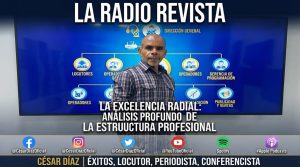 El Rol Indispensable del Director y la Estructura Profesional