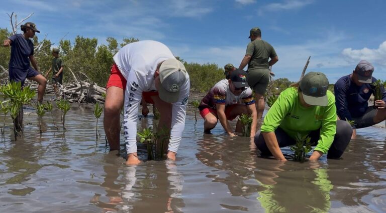 Siembran 1.500 mangles en La Restinga durante jornada ambiental por el 53° aniversario de Inparques
