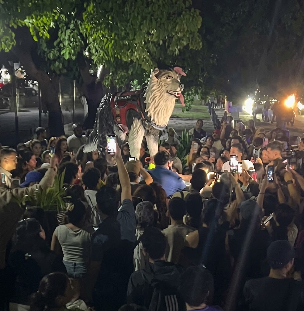 Develan en Barquisimeto estatua en homenaje a Tsunami, el perro rescatista que salvó vidas en La Guaira